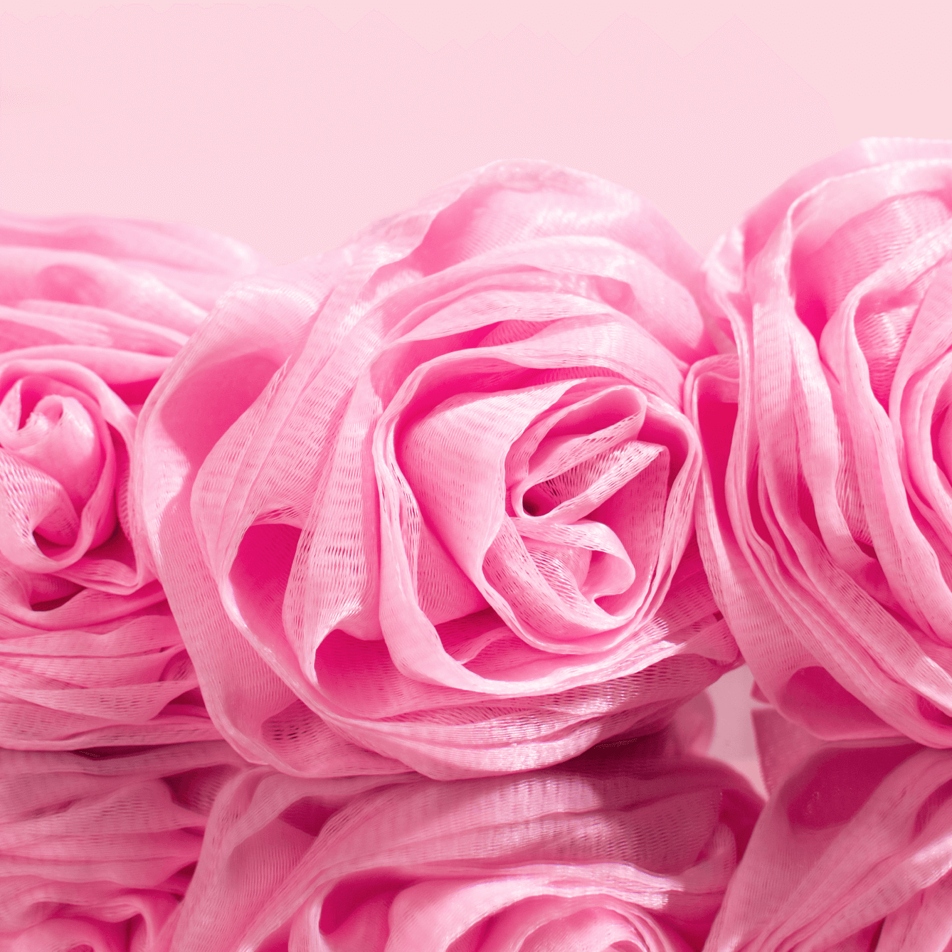 Fleur de douche