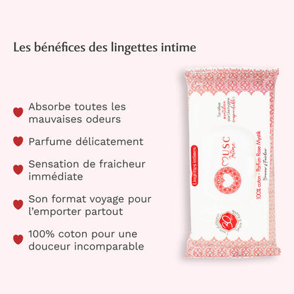 Lingettes toilette Intime Rose Mystik x120 – lot de 4